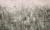 4cbfc148dbbe4a36d4a01dbafdc8759b