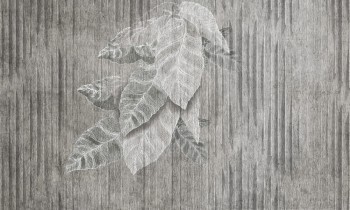 ed44882bf5a46678e6b560fd7bdb6a22