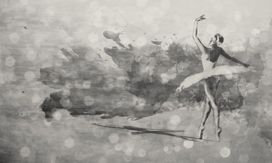 Dekorami Primaballerina Vintage - mural z baletnicą