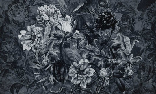 Dekorami Renaissance Graphite - mural w kwiaty
