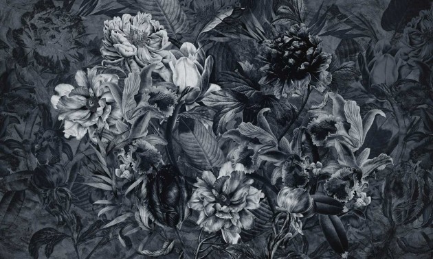 Dekorami Renaissance Graphite - mural w kwiaty