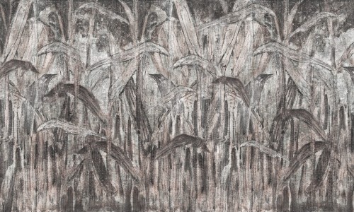 f74bbb56031707af197ddf5db0d5713b