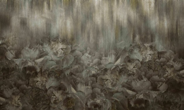 Dekorami Rose Kamila Sable - mural w kwiaty