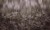 b3a2b81471bf9d5bc38dcbc43eb7e37e