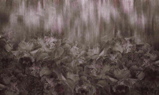 Dekorami Rose Kamila Rose - mural w kwiaty