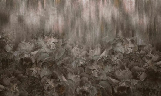 Dekorami Rose Kamila Blush - mural w kwiaty