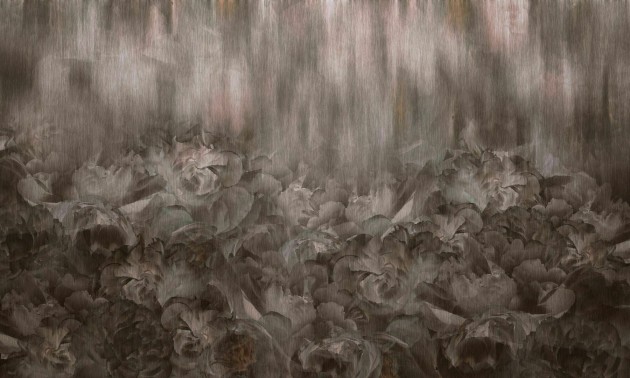 Dekorami Rose Kamila Blush - mural w kwiaty