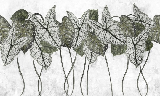 Dekorami Samba Foliage 1 - mural w liście