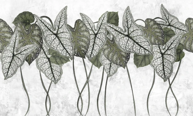 Dekorami Samba Foliage 1 - mural w liście