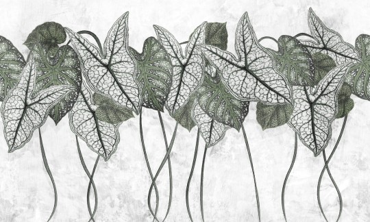Dekorami Samba Foliage 2 - mural w liście