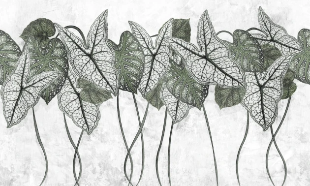 Dekorami Samba Foliage 2 - mural w liście