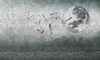 b64bfa55214f9ec081f4382190bbdf6d