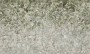 b97d30403321ecfd210e3d52132c7e79