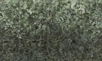 685f3881ceb38615464836c60c9f7cfb
