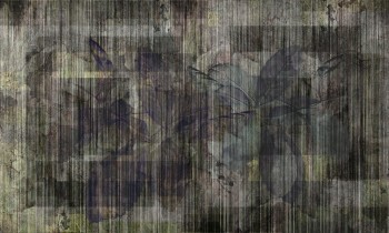 443f550a3cb778040df82f172bedefc1