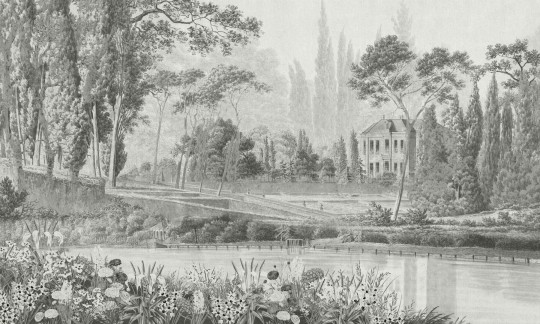 Dekorami Summer Residence 5 - mural w drzewa