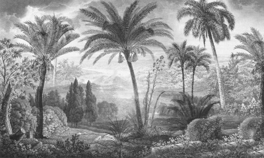 Dekorami Tahiti 1 - mural w drzewa