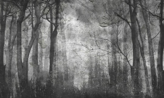 Dekorami Woody Spring - mural las