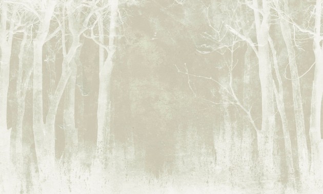 Dekorami Woody Winter - mural las