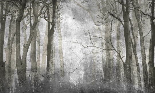 Dekorami Woody Autumn - mural las