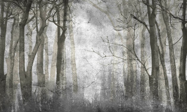 Dekorami Woody Autumn - mural las