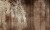 51371935559e161e1432db49b0c46670