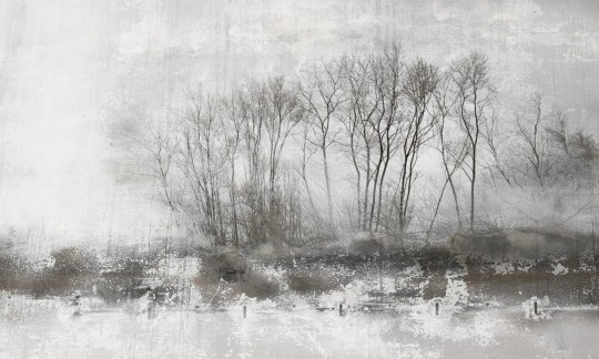 Dekorami Nebbia 2 - mural z drzewami