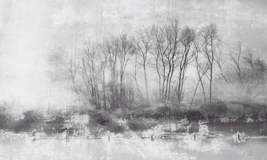 Dekorami Nebbia 4 - mural z drzewami