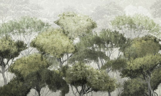 Dekorami Treetop Walk 1 - mural z drzewami