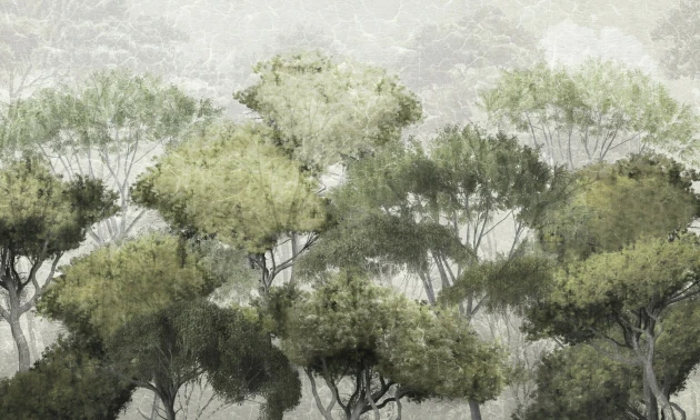 Dekorami Treetop Walk 1 - mural z drzewami