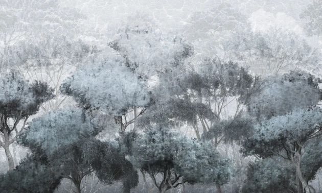 Dekorami Treetop Walk 2 - mural z drzewami