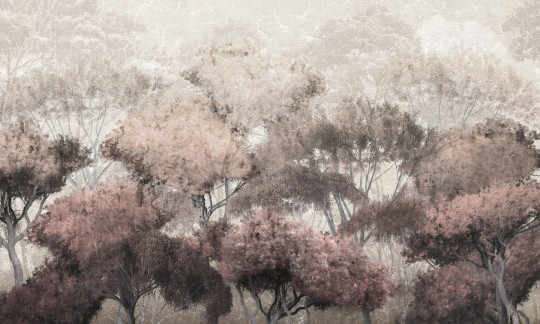 Dekorami Treetop Walk 3 - mural z drzewami