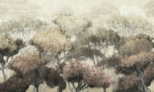 Dekorami Treetop Walk 4 - mural z drzewami