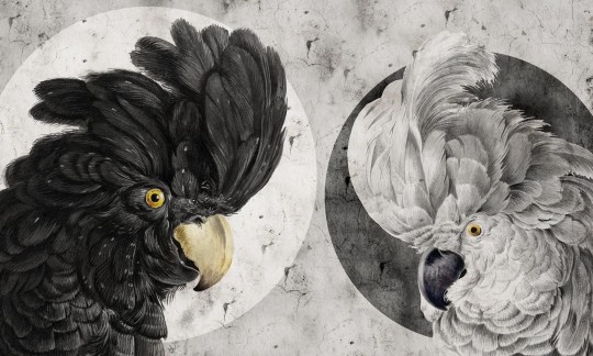 Dekorami Yin – Yang - mural z ptakami