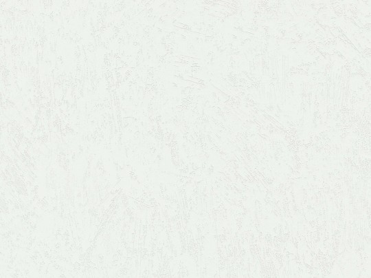 BN Walls Ambiance Brut 16501 - tapeta obiektowa z wzorem betonu