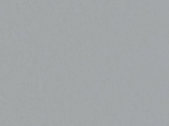 BN Walls Ambiance Brut 16504 - tapeta obiektowa z wzorem betonu