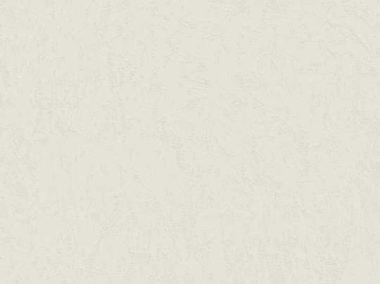 BN Walls Ambiance Brut 16506 - tapeta obiektowa z wzorem betonu