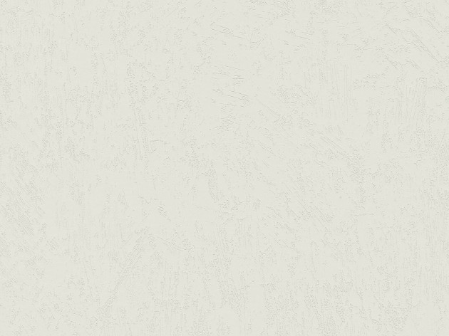 BN Walls Ambiance Brut 16506 - tapeta obiektowa z wzorem betonu