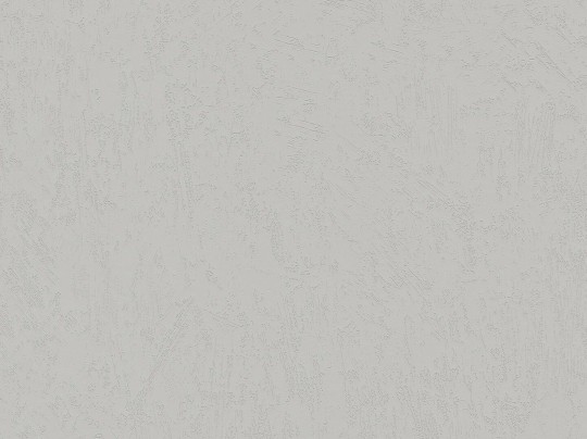 BN Walls Ambiance Brut 16507 - tapeta obiektowa z wzorem betonu