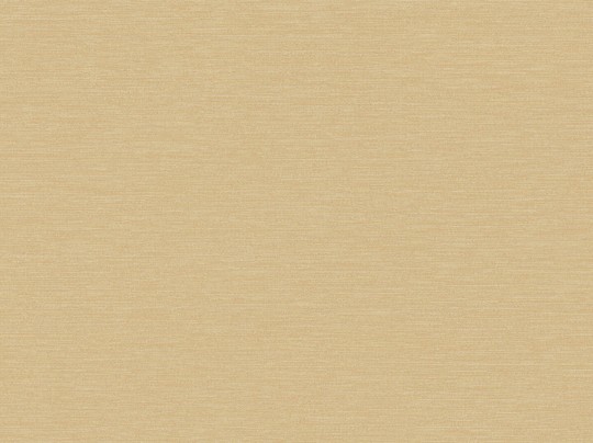 BN Walls Ambiance Madras 15252 - tapeta obiektowa w poziome prążki
