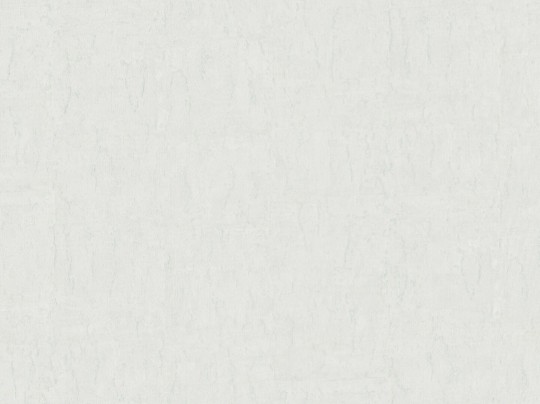 BN Walls Ambiance Quartz 16424 - tapeta obiektowa o wzorze zacieranego tynku