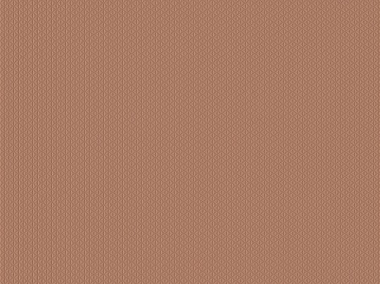 BN Walls Ambiance Ravi 16204 - tapeta obiektowa z geometrycznym wzorem