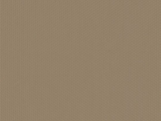 BN Walls Ambiance Ravi 16205 - tapeta obiektowa z geometrycznym wzorem