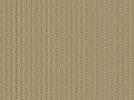 BN Walls Ambiance Ravi 16206 - tapeta obiektowa z geometrycznym wzorem