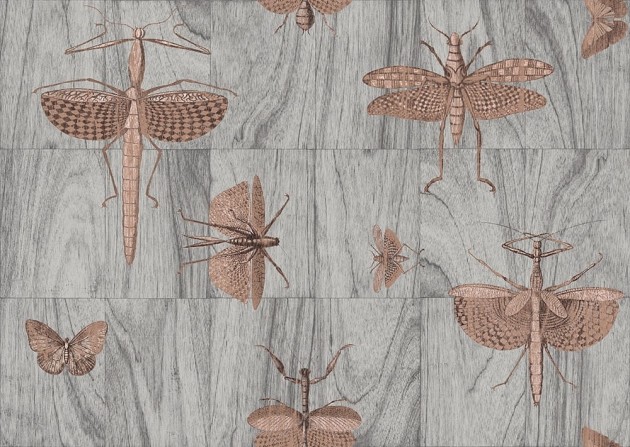 Arte Ligna 42000 Wings - tapeta w owady