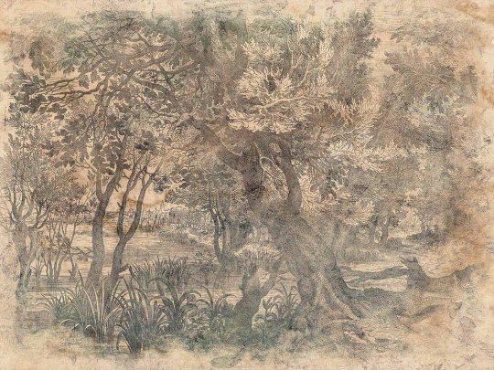 Wallcraft 605 31 2201 Elav - mural z ręcznie malowanym lasem