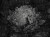f89b1a285af18fd9d2cfdbef32a3efe3