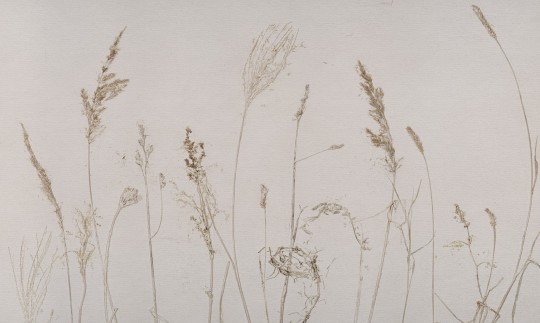 Wall Art Arte by Annowa Campo di Avena - mural z owsem na kremowym tle