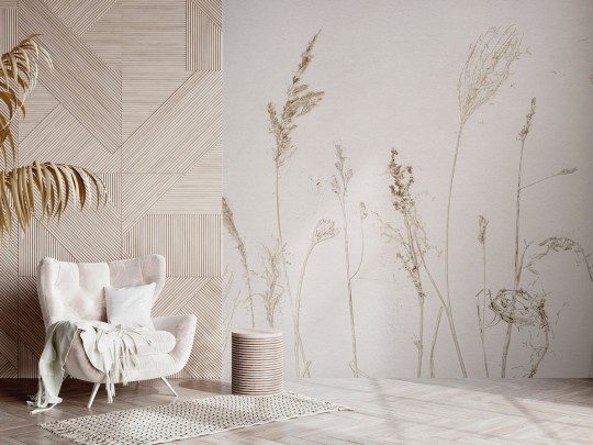 Wall Art Arte by Annowa Campo di Avena - mural z owsem na kremowym tle