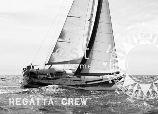 Tapeta Esta Regatta Crew 156433